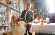 Virgentaler Sacrificial Ram