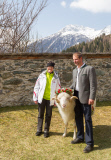 Virgentaler Sacrificial Ram