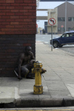 Looting of foreign nationals businesses in xenophobic attacks, Durban, South Africa - 14 Apr 2015