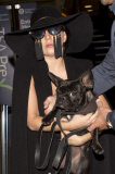 Lady Gaga pushes the fashion limits at LAX Airport with her dog