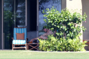 **USA ONLY** *EXCLUSIVE* Anna Faris shows off Bikini Body on family vacation in Hawaii **MUST CALL FOR PRICING**