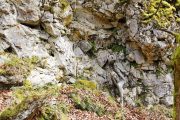 Felswand / Rockface