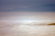 Photographer captures misty scenery in Tuscany and the Beskidy Mountains, Poland, Oct 2013