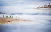 Photographer captures misty scenery in Tuscany and the Beskidy Mountains, Poland, Oct 2013