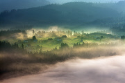 Photographer captures misty scenery in Tuscany and the Beskidy Mountains, Poland, Oct 2013