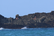 *EXCLUSIVE* Rihanna displays her sexy beach looks in Hawaii 