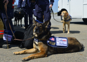 US Air Force preps aid for Nepal