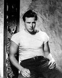 A STREETCAR NAMED DESIRE [US 1951]