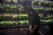 Milan Expo 2015