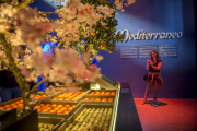 Milan Expo 2015
