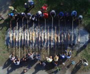 People roast lambs on spits to mark St George's day, Patalenica, Bulgaria - 06 May 2015