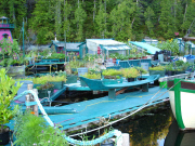 Canadian couple to live in the off-the-grid float-home called Freedom Cove, Cypress Bay, Tofino, British Columbia, May 2015