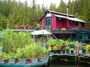 Canadian couple to live in the off-the-grid float-home called Freedom Cove, Cypress Bay, Tofino, British Columbia, May 2015
