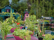 Canadian couple to live in the off-the-grid float-home called Freedom Cove, Cypress Bay, Tofino, British Columbia, May 2015