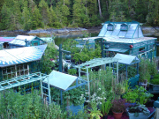Canadian couple to live in the off-the-grid float-home called Freedom Cove, Cypress Bay, Tofino, British Columbia, May 2015