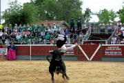 Recortadores at Las Matas, Madrid - 02 May 2015
