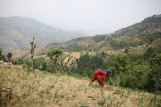 Nepal Earthquake Aftermath