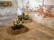 67 Venice Art Biennale 2015