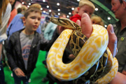 London Pet Show 2015 at Excel, Britain - 09 May 2015