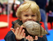 London Pet Show 2015 at Excel, Britain - 09 May 2015