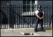 2015 Cabinet Reshuffle