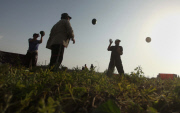 Palestinian farmers collect watermelons, Gaza Strip, Palestinian Territories - 12 May 2015