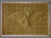 Artist works with Bees To Create Beautiful maps of the the world using bees wax