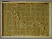 Artist works with Bees To Create Beautiful maps of the the world using bees wax