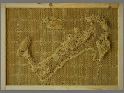 Artist works with Bees To Create Beautiful maps of the the world using bees wax