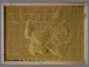 Artist works with Bees To Create Beautiful maps of the the world using bees wax