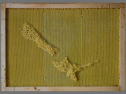 Artist works with Bees To Create Beautiful maps of the the world using bees wax