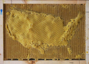 Artist works with Bees To Create Beautiful maps of the the world using bees wax