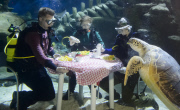 Underwater 'Fish Supper' announcing sustainable fish week at the Sea Life London Aquarium, Britain - 14 May 2015