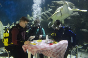 Underwater 'Fish Supper' announcing sustainable fish week at the Sea Life London Aquarium, Britain - 14 May 2015