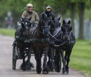 The Royal Windsor Horse show, Berkshire, Britain - 14 May 2015
