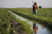 California's farmers brainstorm to fight drought