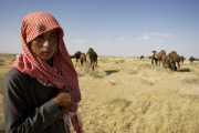 Bedouin camel herder