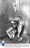 Floral Tributes At The Heysel Stadium In The Wake Of The Disaster Which Occurred There On 29 May 1985. Supporters Were Pressed Against A Wall In The Heysel Stadium In Brussels Belgium As A Result Of Rioting Before The Start Of The 1985 European Cup F