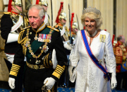 The State Opening of Parliament