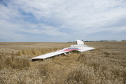 Absturzstelle des Flugzeuges Malaysia Airlines MH17 bei dem Ort Grabovo in der Ost-Ukraine.