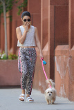 Vanessa Hudgens Picks up after her Dog Darla