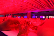 Tamagawa University's LED-based Plant Factory, Tokyo, Japan - 02 Jun 2015