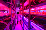 Tamagawa University's LED-based Plant Factory, Tokyo, Japan - 02 Jun 2015