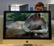 These Coworkers are Adding their Heads to Animals on Each OtherÕs Desktop Backgrounds