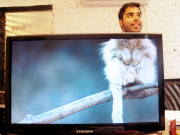 These Coworkers are Adding their Heads to Animals on Each OtherÕs Desktop Backgrounds