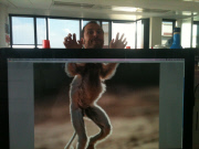 These Coworkers are Adding their Heads to Animals on Each OtherÕs Desktop Backgrounds