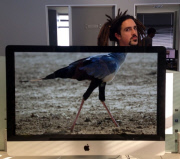 These Coworkers are Adding their Heads to Animals on Each OtherÕs Desktop Backgrounds