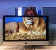 These Coworkers are Adding their Heads to Animals on Each OtherÕs Desktop Backgrounds