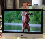 These Coworkers are Adding their Heads to Animals on Each OtherÕs Desktop Backgrounds