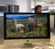 These Coworkers are Adding their Heads to Animals on Each OtherÕs Desktop Backgrounds